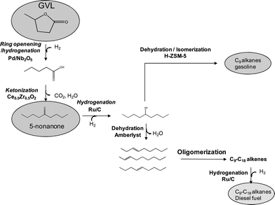 Reaction pathway for conversion of GVL to liquid transportation fuels.