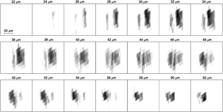 A sequence of the reconstructed horizontal slices xz in the particle region. The vertical distance between the two subsequent horizontal planes is 2 µm. The resolution is limited by the size of the unit cell and the hematite average cell concentrations are presented by the gray-level color function: black color corresponds to cell fully occupied by hematite (n = 1) and white color corresponds to an empty cell (n = 0).