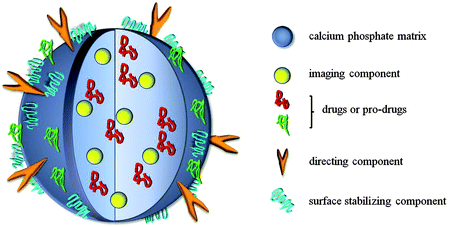 Generalized schematic setup of a calcium phosphate nanoparticle for both imaging and drug delivery.