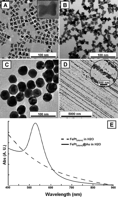 A, B: TEM images of FePt star-shaped nanoparticles (∼13 nm), before (A) and after (B) transfer from CHCl3 into aqueous CTAB. The inset in A is a HRTEM image of a single FePt nanocrystal. C: TEM image of FePt@Au nanoparticles produced from star-shaped FePt seeds. D: TEM image of FePt@Au 1D structures, organized by drying under an external magnetic field. E: UV-vis spectra of aqueous solutions of FePt stars (dashed line) and FePt@Au core-shells (continuous line).