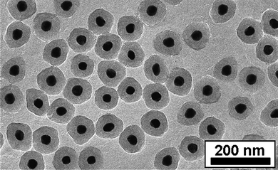 TEM image of silica coated FePt@Au core-shell nanoparticles.