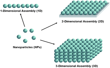 Schematic images of highly ordered 1D, 2D and 3D assemblies of NPs.