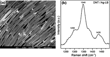 (a) Scanning electron microscopy images of the silver nanowire monolayer deposited on a silicon wafer. (b) SERS spectrum of 2,4-DNT on the thiol-capped Ag nanowire monolayer. Reproduced with permission from ref. 13. Copyright 2003, American Chemical Society.
