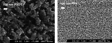 SEM of the TiOx phase after removal of the polymer by UV–ozone treatment for 10 min. Left: from a P3OT:TiOx (12 vol% TiOx) blend. Right: from a MDMO-PPV:TiOx(14 vol% TiOx) blend. Reprinted with permission from ref. 175. © 2003 Elsevier B.V.