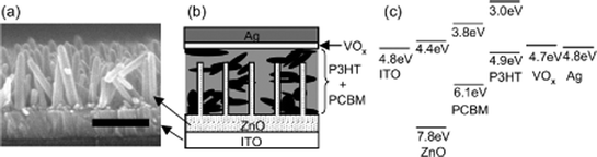 (a) FE-SEM cross-section image of the ZnO nanorod arrays (scale bar: 300 nm), (b) schematic structure of a ZnO/organic hybrid device with a VOx buffer layer, and (c) energy diagram of the ITO/ZnO/PCBM:P3HT/VOx/Ag device. Reprinted with permission from 154. © 2008 American Institute of Physics.