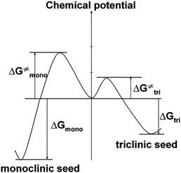 Schematic potential curves of nucleation to show the activated barriers and free energy of polymorphs: monoclinic and triclinic crystals.