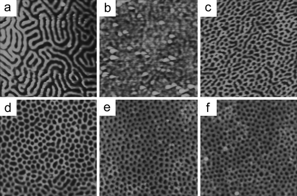 AFM images of PMMA-b-PBPEA-g-PS with different DPs of PS and the comparative linear PS-b-PMMA analogue with similar molecular weights (Polymer Source, Inc., 64 kDa–35 kDa) on a bare Si wafer. Scanned area was 1 µm × 1 µm for every sample. (a) Linear PS-b-PMMA, (b) PMMA480-b-PBPEA100-g-PS2.4, (c) PMMA480-b-PBPEA100-g-PS6.4, (d) PMMA480-b-PBPEA100-g-PS8.4, (e) PMMA480-b-PBPEA100-g-PS12.2, and (f) PMMA480-b-PBPEA100-g-PS17.7.