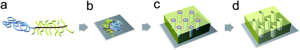 Microphase separation of PMMA-b-PBPEA-g-PS on a surface. (a) Comb-coil type architecture of the polymer. (b) Phase separation between the three blocks and the spreading of PS chains grafted onto a PBPEA block over the surface induces an intrinsic curvature. (c) Vertically oriented cylinders are thus always developed that (d) can be readily transformed into a nanoporous structure.