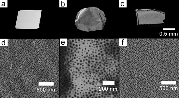 Photoimages of various substrates (a–c) treated with PMMA480-b-PBPEA100-g-PS17.7 and corresponding AFM height images (d–f). (a, d) Au substrate. (b, e) Cu substrate. (c, f) crosslinked SU-8 resin. The data scale of the images was set at 40 nm.