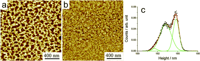 (a,b) AFM topography and phase images (respectively) of BPF-PDI–HBC-C12 blend spun on SiOx from a CHCl3 solution (500 µM total dye concentration), consisting in a uniform, porous network made of unstructured assemblies, the upper layer being ∼1.6 nm thick as per the height histogram in (c). (a) z-range = 5.9 nm.