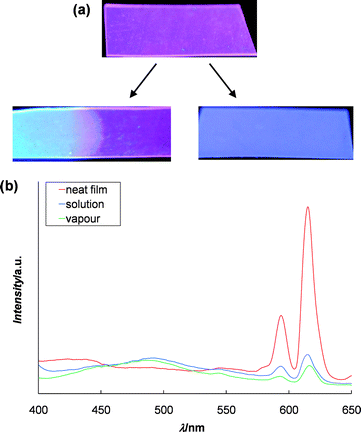 (a) Picture of a film prepared from 1 and Zn2+ : Eu3+ 70 : 30 fluorescing under UV light (λ = 365 nm) before and after dipping into a 10 mM solution of triethyl phosphate in hexane for 1 min (left) and exposure to triethyl phosphate vapour (24 h., rt) (right); (b) photoluminescence spectra (excited at 377 nm) of the above films. Both films show a decrease in the characteristic Eu3+ emission peaks at 590 and 615 nm.