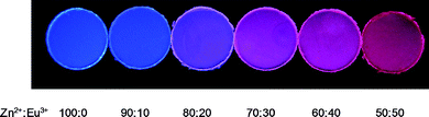 Pictures of solution cast films of 1 with varying amounts of Zn2+ and Eu3+ under UV light (365 nm) demonstrating the effect of metal content on the fluorescence colour.