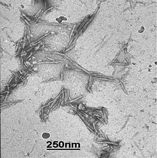 Transmission electron microscopy images of cotton cellulose whiskers. The sample was produced by depositing a drop of a 0.2% w/w cotton cellulose whisker dispersion in DMF onto a carbon-coated copper grid.