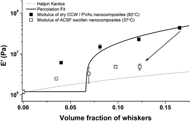 Tensile storage moduli E′ of neat PVAc and PVAc/cotton cellulose whisker nanocomposites (CCW) in the dry state at 82 °C, and ACSF-swollen state (after immersion in ACSF at 37 °C for a week) at 37 °C. Lines show the values predicted by the percolation (solid) and the Halpin-Kardos (dashed) models. Data of swollen samples are at a lower volume fraction compared to their dry state due to solvent uptake. Data points represent averages (N = 3–5) ± standard deviation measurements.