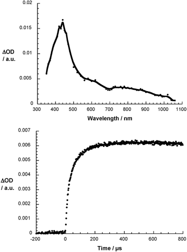 Differential absorption spectrum of 1 (5 × 10−5 M) upon pulse radiolysis in N2O saturated aqueous solution pH = 7.2 upon adding 5 vol% DMSO 700 μs after the electron pulse (upper part) and the corresponding time absorption profile at 440 nm (lower part).