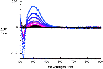 Differential absorption spectra of 1 (10−5 M) upon 60Co gamma radiation in N2O/O2 saturated aqueous solution pH = 7.2 upon adding 5 × 10−3 M HCOONa after different irradiation times.