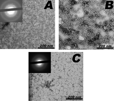 Transmission electron micrographs of (A) unstained, (B) stained refluxed Pf_Fn, and (C) unstained ferrihydrite in Pf_Fn. The dark electron dense cores in (A) have an electron diffraction pattern (insert) consistent with α-Fe2O3 while no diffraction was observed in (C) consistent with disordered ferrihydrite.