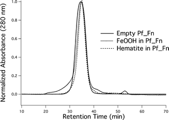 Size exclusion chromatograph of empty (), FeOOH containing (⋯), and α-Fe2O3 () Pf_Fn protein cages.