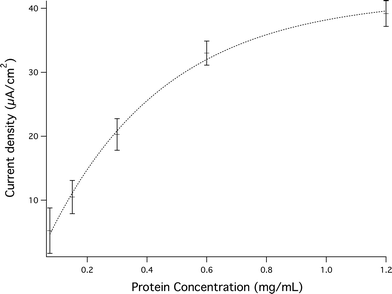 Photocurrents generated as a function of protein concentration.