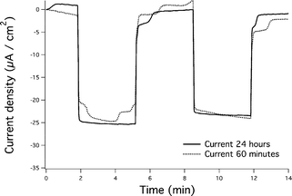 Photocurrents generated at 60 min vs. 24 h. The strong similarities in the currents observed suggest that the conversion of ferrihydrite to hematite is complete in one hour.