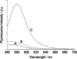 The fluorescence spectra of Fe-MM (A), MMMs (B) and MMMs + Hg2+ (C) in aqueous solution. Excitation was at 540 nm, emission was monitored at 580 nm.