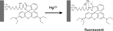 A possible proposed binding mode of MMMs with Hg2+.