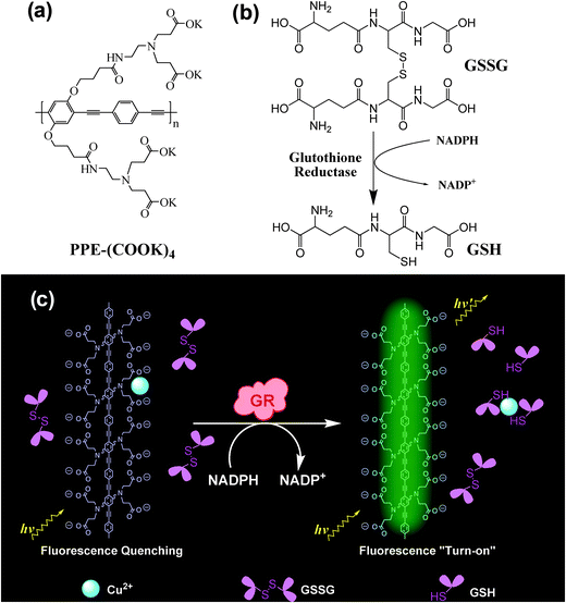glutathione reductase activity assay Glutathione Reductase (GR) Assay Kit (ab83461) main image 1