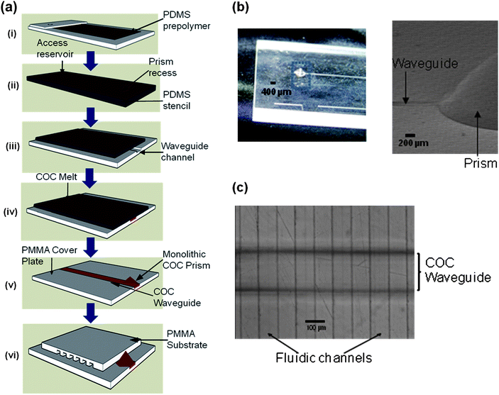 (a) Schematic representation of the stepwise process for the fabrication of the embedded COC orthogonal waveguide in a PMMA chip. A relief was used for casting a PDMS pre-polymer (PDMS + curing agent at 10 : 1 ratio) to form the stencil, which contained the recess for molding the COC prism and an access reservoir to allow filling of the COC melt (i). The PDMS stencil was peeled from the relief after curing at 70 °C for 90 min (ii) and placed on the surface of a PMMA sheet, which would serve as the device cover plate, containing a pre-fabricated waveguide channel (waveguide channel was embossed from a mold master fabricated using high precision micromilling) (iii) and a COC melt (prepared using toluene as the solvent) was introduced into the assembly to form the waveguide and coupling prism (iv). The PDMS stencil was then peeled off from the PMMA cover plate, which created the embedded waveguide with the monolithic coupling prism (v). Finally, the PMMA cover plate with waveguide assembly was thermal fusion bonded to a PMMA substrate containing multiple fluidic channels (vi) that were prepared using hot embossing. The fluidic substrate and the PMMA cover plate were thermally fusion bonded at ∼105 °C, near the Tg of both polymeric materials. (b) Photographs of the PMMA sheet showing the embedded waveguide with the integrated monolithic prism (to the right is the SEM of a section of the prism). (c) Optical micrograph of the embedded waveguide integrated to the fluidic channels.