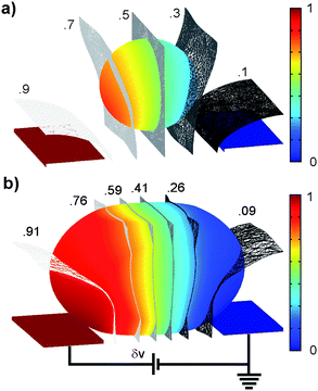 FEM simulations to study effect of cell size. Images show the distributions of the voltages in the channel for a small cell (a) and large cell (b) for an applied WE voltage (DC, “δv” denoted voltage level in the channel). The color scale, indicating the fractional voltage distribution, highlights the electric field patterning technique (µ-domain voltage clamp). Relative to the extracellular fluid, the membrane impedance is very high resulting in the majority of the applied voltage dropping across the cell. The tighter fit of the larger cell creates more depolarization simply due to the restriction of the extracellular shunt path.