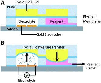 The Electro-hydraulic Pump. Overall schematic of the electro-hydraulic pump shows the mechanism of activation. Pumping fluid (electrolyte) is subjected to an electrical current, causing bubble formation through electrolysis. Pressure is transferred through a flexible membrane to a hydraulic fluid chamber, which then forces fluid out of the reagent reservoir.