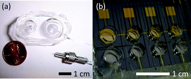 Completed prototype EHP pump. (a) 1 mL stainless steel model with a 9 : 4 chamber area ratio (EC : RC), shown with a microfluidic connector (b) Device containing four gold electrode EHP modules with 15 µL reagent reservoirs.