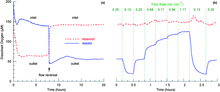 Measured concentration of dissolved oxygen in reservoir and reactor wells seeded with rat hepatocytes: (a) as a function of time post-seeding with a flow rate of 0.25 mL min−1 and a sampling rate of 0.2 measurements per minute; (b) as a function of flow rate (immediately following the time course measurement) with a sampling rate of 1 measurement per minute.