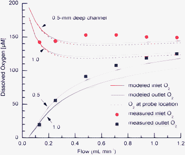 Measured and modeled inlet and outlet oxygen concentrations as a function of flow for two depths of cell culture medium in the channel. The figure also shows modeled oxygen concentration at the oxygen probe location.