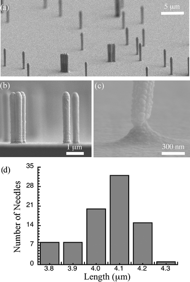 SEM images of the fabricated needles after gold sputtering. (a) A general view of the silicon wafer with fabricated needles. The random characteristics of the needle distribution due to the spin coating of silica beads can be seen clearly. (b) Cross-sectional view of the silicon wafer showing the needle profile. (c) A close-up view of a notch to be used as cutting point for the collection of needles. (d) Size distribution of needles fabricated with 150 etching cycles in DRIE chamber.