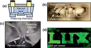 (a) Schematic cross-section of patterning probe; (b) patterned channels and through holes; (c) fan-out connects to patterning channels and (d) resulting pattern on substrate after selective area functionalization.