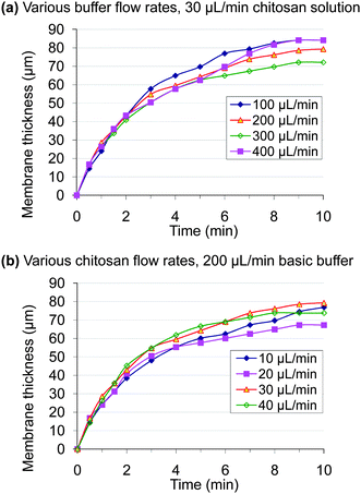 Time-dependent growth of membrane thickness at various chitosan and basic buffer flow rates. (a) 30 µL min−1 chitosan solution with 100–400 µL min−1 basic buffer; (b) 200 µL min−1 basic buffer with 10–40 µL min−1 chitosan solution.