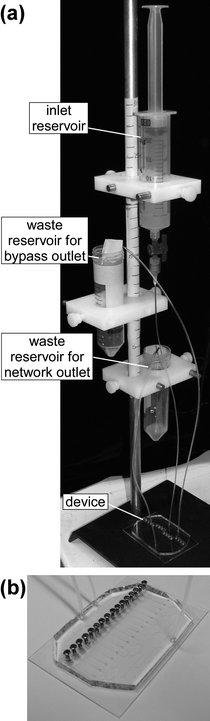 (a) A photograph of the experimental set-up for the array of chambers. (b) A close-up view of a microfluidic device. The device is mounted on a 50 × 75 mm glass slide.