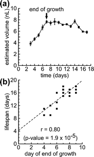 The end of growth in adult C. elegans correlates with lifespan. (a) A sample growth curve for a single worm for its entire lifespan. The black arrow indicates the end of the initial growth period (day 7 for this worm). The error bars for estimated volume were calculated by propagating the standard deviations measured for cross-sectional area and length through the calculation of volume. (b) A scatter plot comparing the day on which growth ended with lifespan for each animal in the population (N = 20 worms). The plot displays r, the Pearson correlation coefficient, and the corresponding p-value. The dashed line represents the estimated regression line, obtained using the method of least squares. The experiment was performed using temperature-sensitive sterile mutants (TJ1060).