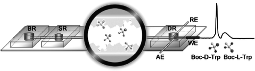 Separation of enantiomers by means of in situ molecular imprinting of a polymer on a microchannel wall. The performance of the device was demonstrated for enantioseparation and amperometric detection of tert-butoxycarbonyl-D-tryptophan (Boc-D-Trp) and Boc-L-Trp. (Reprinted from ref. 2 with permission. Copyright 2009 American Chemical Society).