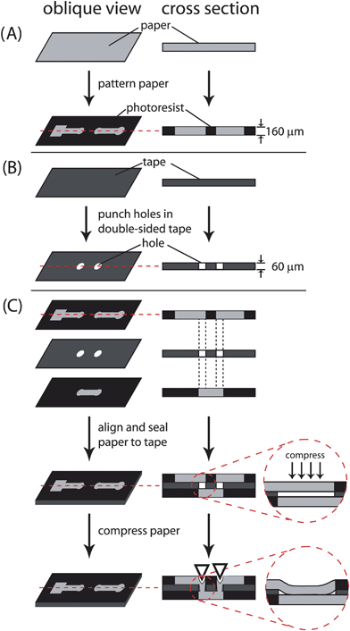 Fabrication of 3-D microfluidic devices out of paper and tape. (A) Patterning of chromatography paper by photolithography. (B) Patterning of double-sided tape using a laser cutting. (C) The patterned paper and tape are aligned and stacked. Small gaps between the channels in adjacent layers of paper reflect the thickness of the tape. For fluids to wick between channels in adjacent layers of paper, these gaps must be eliminated. To do so, either the gap can be filled with a hydrophilic material during fabrication, or the paper in adjacent layers can be brought into contact using a mechanical force.