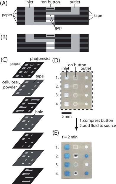 Fabrication of ‘on’ buttons in 3-D microfluidic devices. (A) Schematic of the cross-section of an ‘on’ button where the inlet channel is below the outlet channel. The inlet channel and outlet channel are separated by two gaps and one layer of paper. The location of the button is indicated by a square design (□) patterned on the top of the device. (B) Schematic of the crosssection of an ‘on’ button where the inlet channel is above the outlet channel. The location of the button is indicated by a circular design (○) patterned on the top of the device. (C) Schematic representation of the layers of paper and tape required to assemble a device with four independent ‘on’ buttons. When assembling the device, all the holes in the tape except those used in the ‘on’ buttons were filled with cellulose powder. (D) Top of the assembled device with four ‘on’ buttons. Each button has its own inlet and outlet. Buttons 1 and 2 have the inlet channel below the outlet channel, while buttons 3 and 4 have the inlet channel above the outlet channel. (E) Buttons 2 and 4 of the device shown in D were compressed and aqueous blue dye was added to the four inlets. The dye reached the outlet within two minutes only when the buttons were compressed.