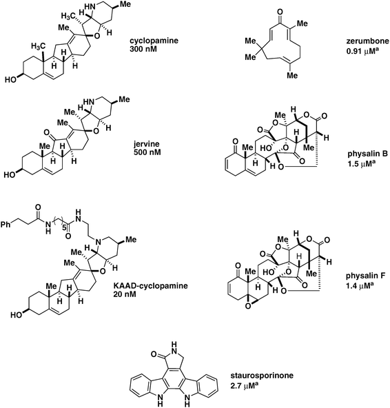 Shh-pathway inhibitors. Cyclopamine, jervine, and KAAD-cyclopamine are examples of jervine alkaloid Shh pathway inhibitors, with EC50 values shown above. KAAD-cylopamine is a chemically-modified form of cyclopamine that displays reduced cytotoxicity. Zerumbone, physalinB, physalinF, and staurosporinone have been shown to repress Gli2-mediated transcription, with EC50 values specific for Gli2 shown above, as denoted with a superscript a.