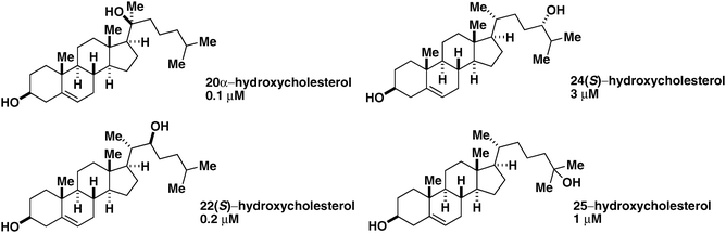 Naturally occurring small-molecule Shh pathway agonists. Oxysterols are shown. 20α-Hydroxycholesterol, 22(S)-hydroxycholesterol, 24(S)-hydroxycholesterol, and 25-hydroxycholesterol along with their respective EC50 values derived from Ptch1–LacZ reporter gene activity in PZp53MEDcells are shown.