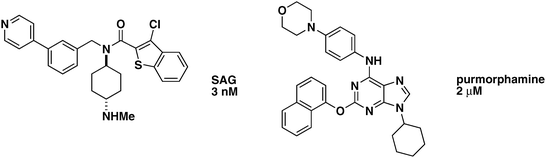 Non-naturally occurring small-molecule Shh pathway agonists. SAG and purmorphamine along with their respective EC50 values are shown.
