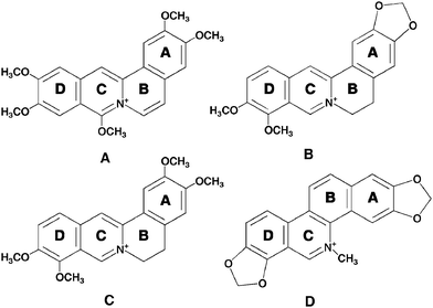 Chemical structures of (A) coralyne, (B) berberine, (C) palmatine and (D) sanguinarine.