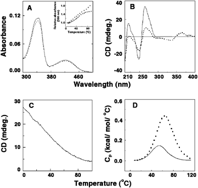 (A) Representative absorption spectral changes of berberine in the absence (solid curve) and presence (dashed curve) of poly(A). Inset: UV melting profile of poly(A) (□) and the poly(A)–berberine complex (■). (B) Circular dichroic spectra of single-stranded poly(A) in the absence (solid curve) and presence (dashed curve) of berberine. (C) Circular dichroic melting profile of a solution containing 55 μM of poly(A) and 13.75 μM of berberine monitored at 274 nm. (D) DSC thermograms of poly(A) (solid curve) and the complex of poly(A) and of berberine (dashed curve). (Reprinted from Giri and Kumar,39Arch. Biochem. Biophys., 2008, 474, 183–192. © 2008, with permission from Elsevier).