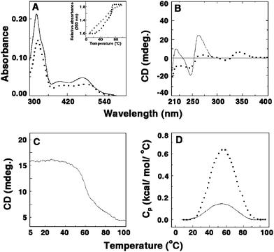 (A) Representative absorption spectral changes of sanguinarine in the absence (solid curve) and presence (dashed curve) of poly(A). Inset: UV melting profile of poly(A) (□) and poly(A)–sanguinarine complex (■). (B) Circular dichroic spectra of single-stranded poly(A) in the absence (solid curve) and presence (dashed curve) of sanguinarine. (C) Circular dichroic melting profile of a solution containing 55 μM of poly(A) and 13.75 μM of sanguinarine monitored at 274 nm. (D) DSC thermograms of poly(A) (solid curve) and the complex of poly(A) and sanguinarine (dashed curve). (Reprinted from Giri and Kumar,78Biochim. Biophys. Acta, 2007, 1770, 1419–1426, © 2007, with permission from Elsevier).