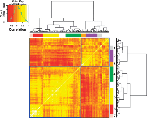Hierarchical clustering of the correlation matrix of the top-500 most variable genes including all experimental data. Selected GO categories that were enriched in clusters are highlighted as follows. Cluster 1 (grey): protein folding, cluster 2 (purple): amino acid biosynthesis and nitrogen-related terms, cluster 3 (orange): translation, primary metabolism and biosynthesis, cluster 4 (green): conjugation, cluster 5 (yellow): response to stress, cluster 6 (red): meiosis and cell cycle, cluster 7 (pink): cell differentiation and sporulation. Note that the figure is symmetric on one diagonal, and the bright yellow squares reflect regulatory modules. The colour legend shows the correlation values from inverse (dark red) to positive (bright yellow) along with the distribution of the matrix values. The clusters with no number did not present any biological significant enrichment. See Supplementary Table S6 (ESI) for more details.