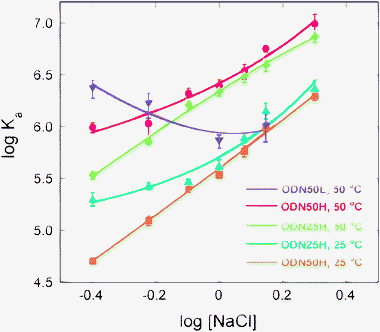 Plots of log Ka against log[NaCl] for ODN50H at 50 °C (red circles) and 25 °C (orange squares), for ODN25H at 50 °C (green diamonds) and 25 °C (blue triangles), and for ODN50L at 50 °C (purple inverted triangles), interacting with PhoTBP in 20 mM Tris-HCl (pH 7.5) and 1 mM EDTA. Solid lines correspond to the best-fit curves obtained by fitting eqn (1) with a nonlinear least-squares algorithm. Error bars represent standard deviation of data sets obtained from at least three runs.