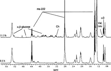 Evolution with time of the in vivo proton HR-MAS NMR spectra of a 7 day old D. magna (with eggs in brood pouch).